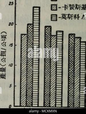 代理手游加盟选择与《百球大师H5》计算机技术培训解析