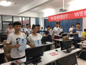 代码中的艺术 当编程邂逅匠心——许昌鲤鱼IT的计算机技术培训之道